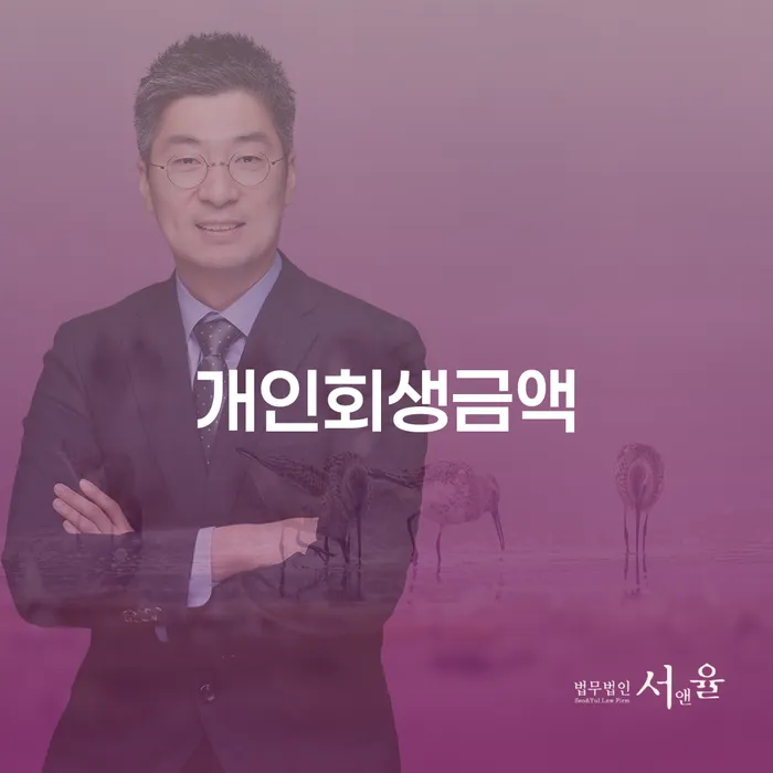 빚 대출 연체 개인회생 확인하자