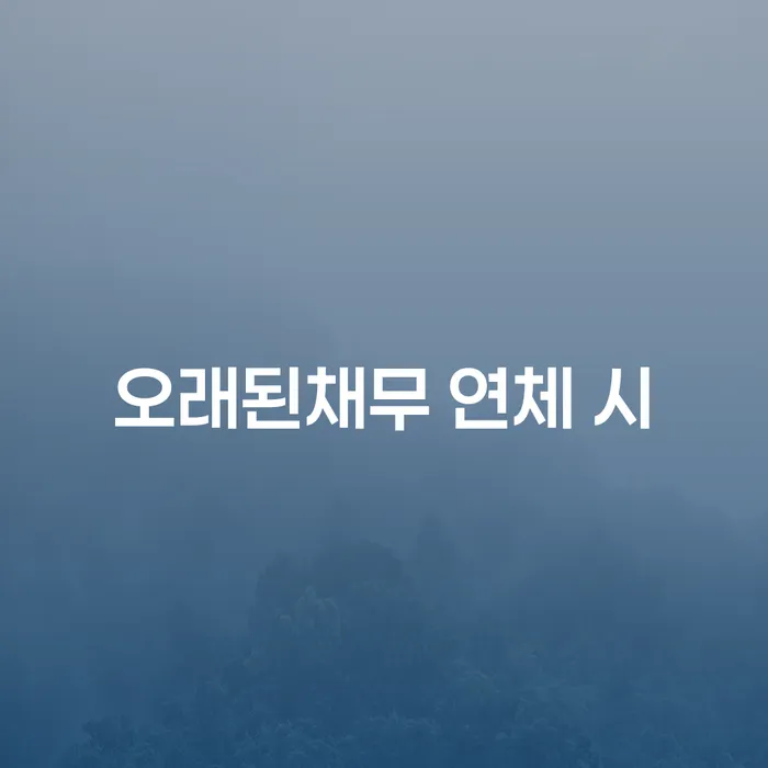 신용카드 연체 대출 채무 효과적인 해결방법 실제사례