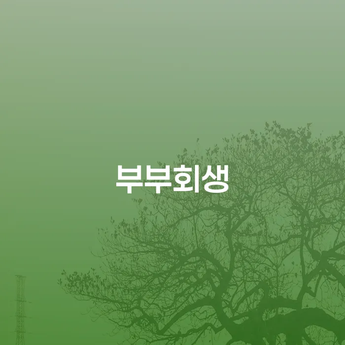 신용대출 연체 워크아웃 간편비교