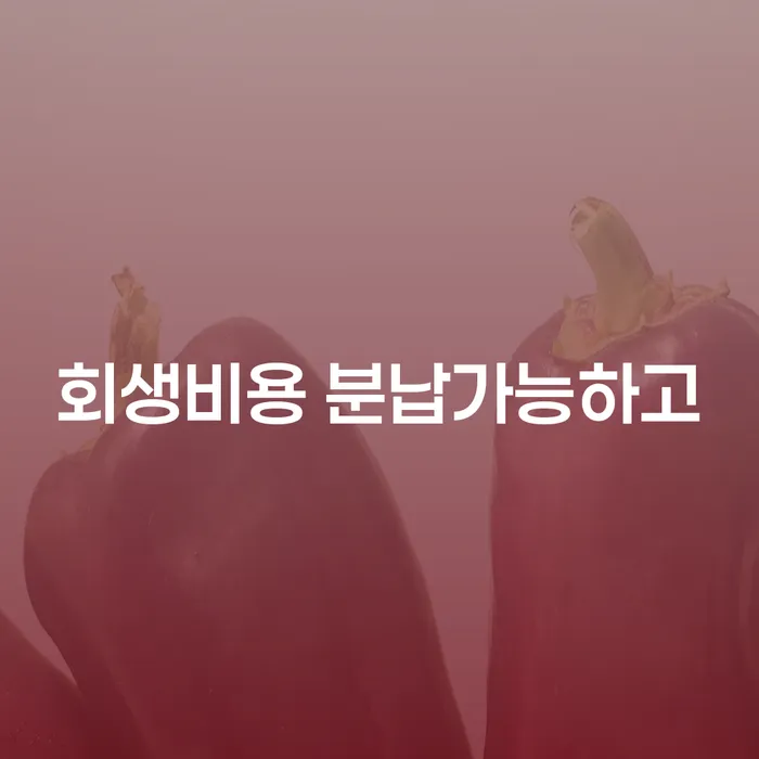 주식채무 개인회생으로 방법 알아보기