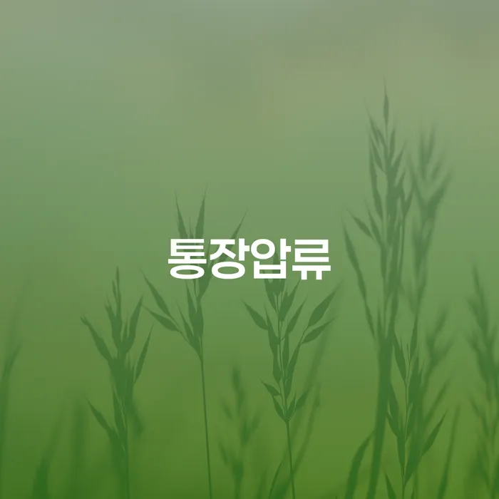 회생전문변호사 대출 연체 개인회생 자세하게 알아보자