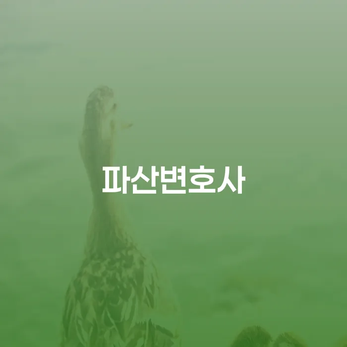 대출미납 개인회생 살펴보고 있다면
