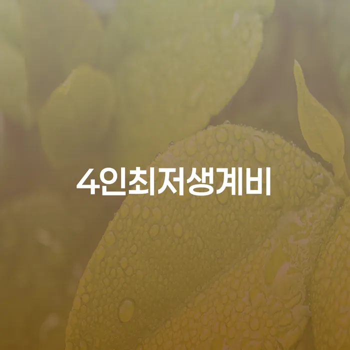법인채무 개인회생 처리방법 빨리신청해야하는