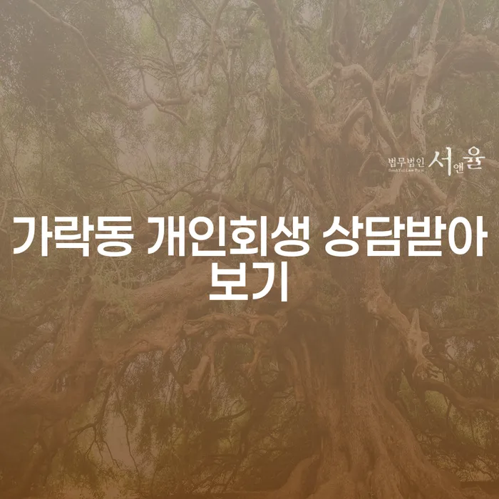 가락동 개인회생 상담받아보기