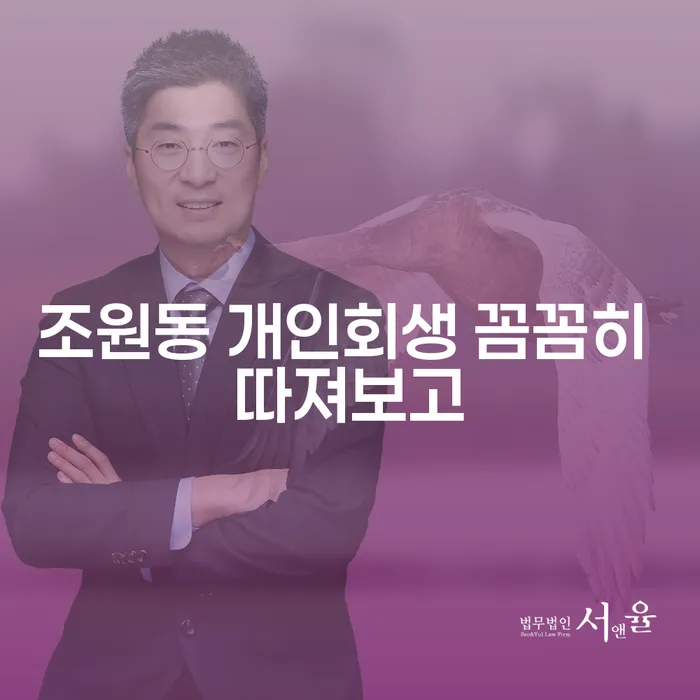 조원동 개인회생 꼼꼼히 따져보고