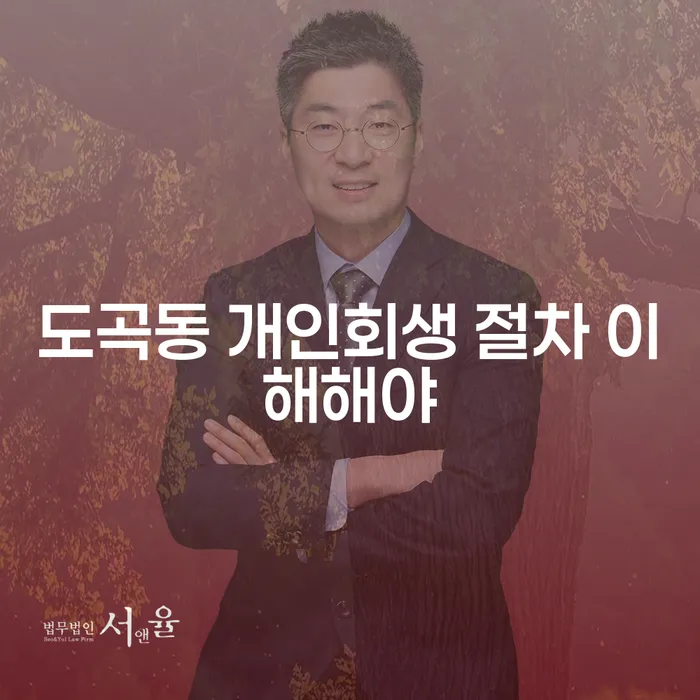 도곡동 개인회생 절차 이해해야