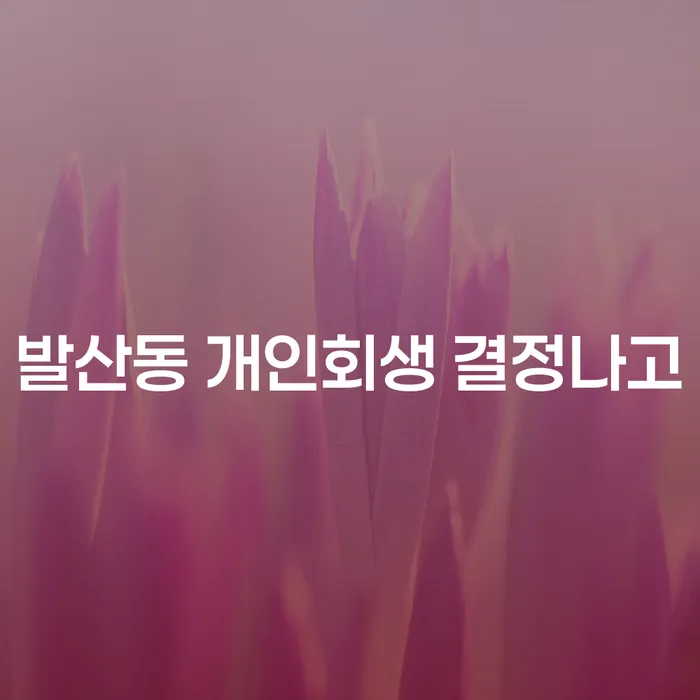 발산동 개인회생 결정나고
