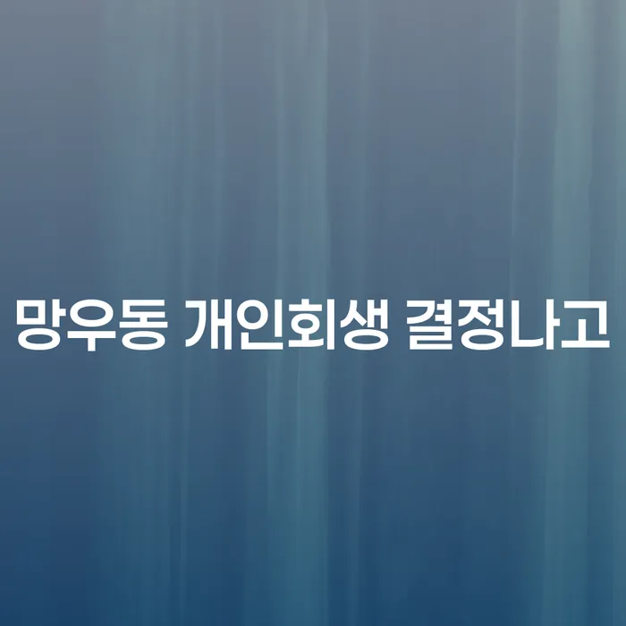 망우동 개인회생 결정나고
