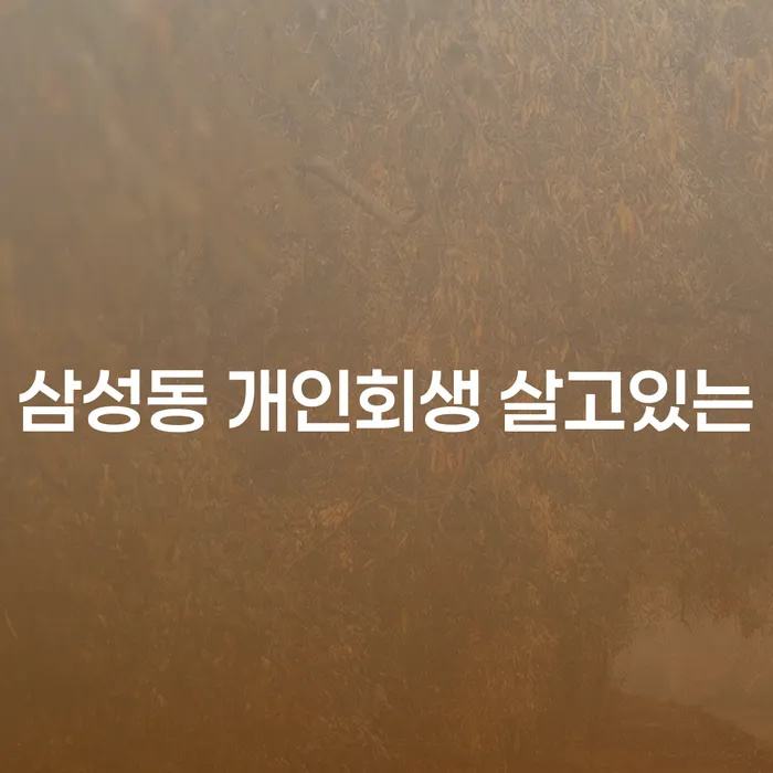 삼성동 개인회생 살고있는