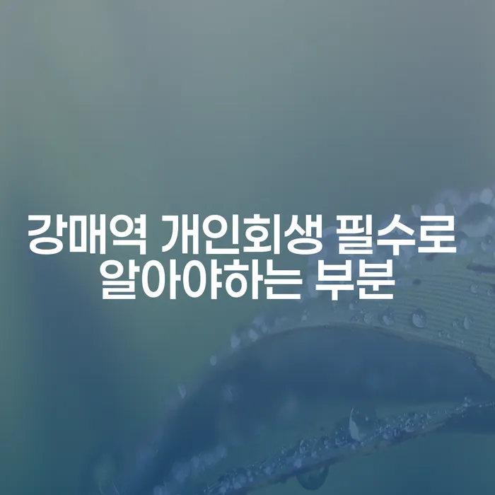강매역 개인회생 필수로 알아야하는 부분