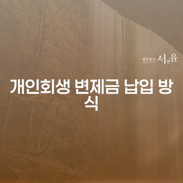 개인회생 변제금 납입 방식, 무엇이 가장 효율적일까요?