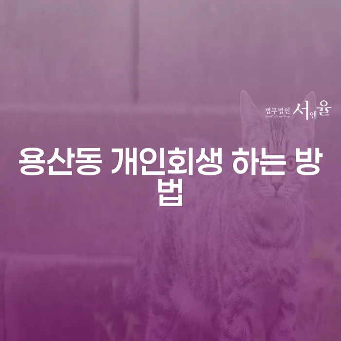 용산동에서 개인회생을 어떻게 시작할 수 있을까요?