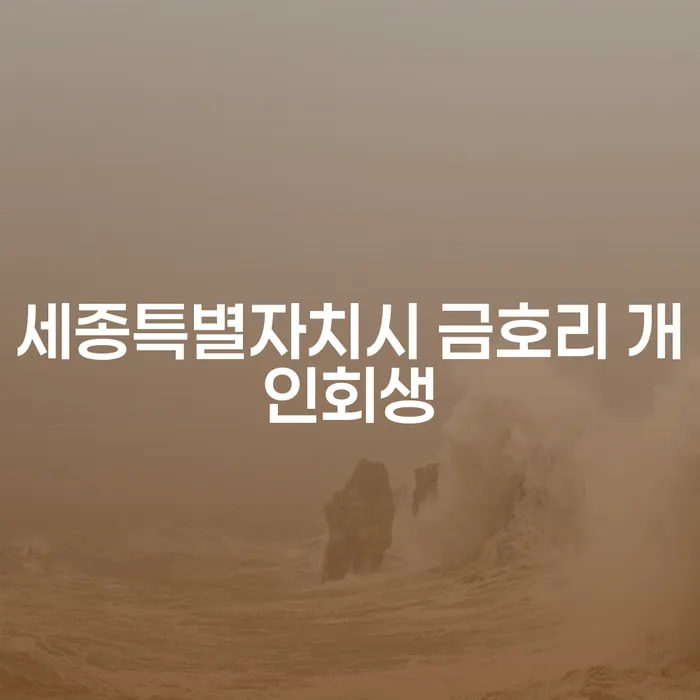 세종특별자치시 금호리 개인회생: 어떻게 시작해야 할까요?