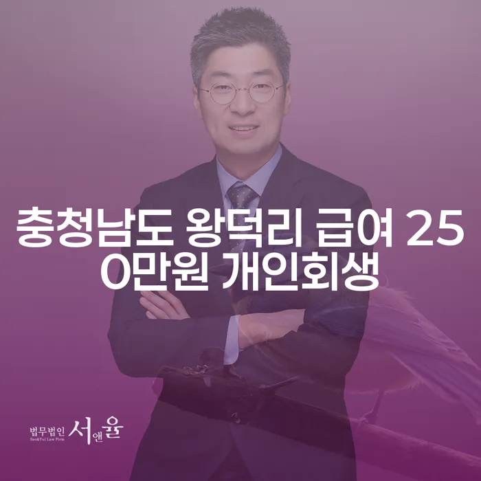 충청남도 왕덕리에서 급여 250만원으로 개인회생을 시작할 수 있을까요?