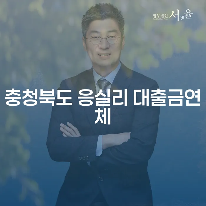 충청북도 응실리에서 대출금 연체 문제를 해결할 수 있는 방법은 무엇일까요?