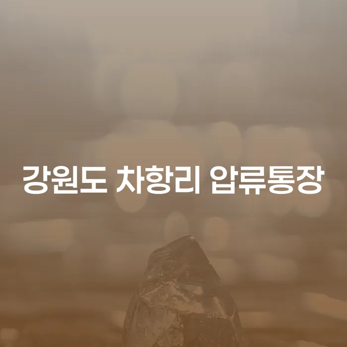 강원도 차항리 압류통장 문제와 주식빚 1억원 이상 개인회생, 어떻게 해결할 수 있을까요?